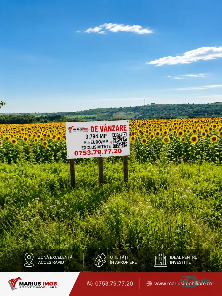 TEREN 3.794 MP | ZLĂTĂREI – DRĂGĂȘANI | 5,5 €/MP — fotografia 1