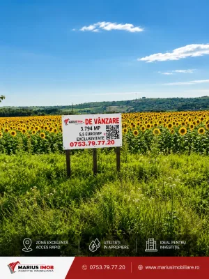 TEREN 3.794 MP | ZLĂTĂREI – DRĂGĂȘANI | 5,5 €/MP