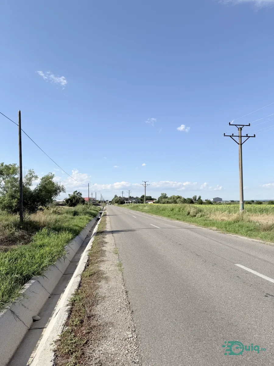 TEREN 3.794 MP | ZLĂTĂREI – DRĂGĂȘANI | 5,5 €/MP — fotografia 2