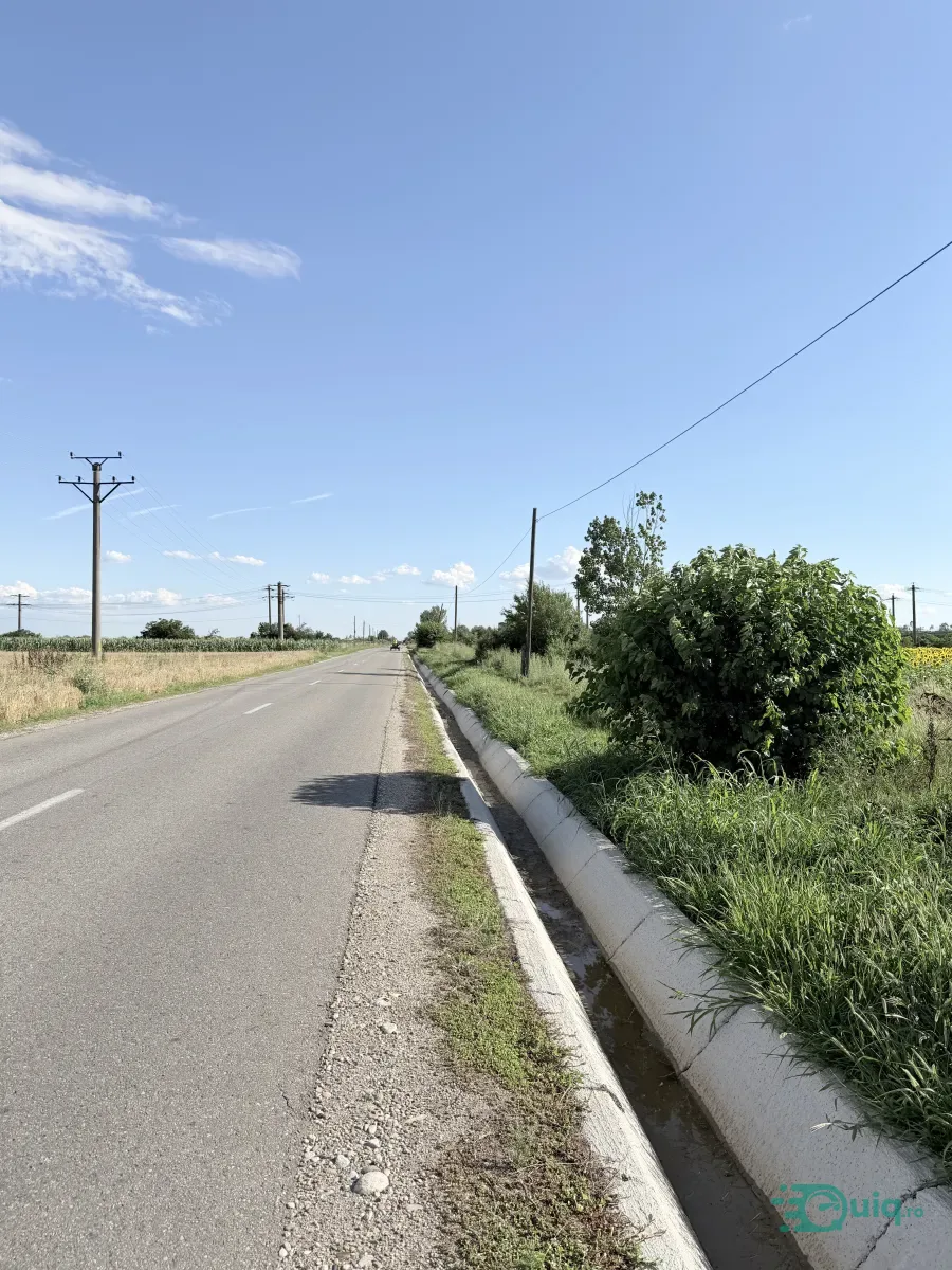 TEREN 3.794 MP | ZLĂTĂREI – DRĂGĂȘANI | 5,5 €/MP — fotografia 3