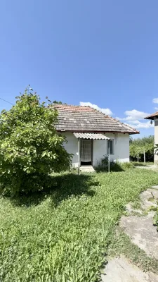 Fotografia 3