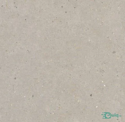 Gresie de exterior Silver Grain Taupe Antislip 60x60x2 cm — fotografia 1