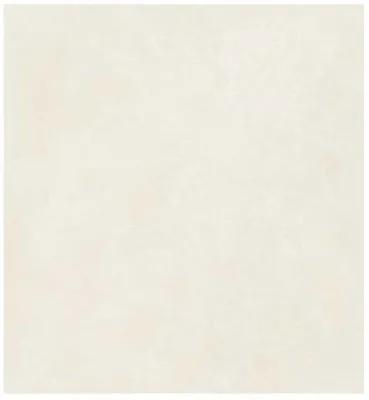 Gresie de exterior Terre Bianco Antislip 80x80x2 cm
