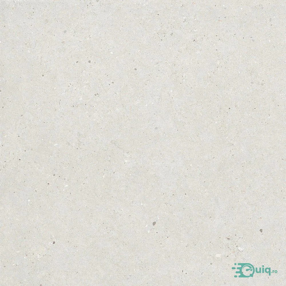 Descopera Gresia Poertelanata Silver Grain White Anti-Slip 60x60 — fotografia 1