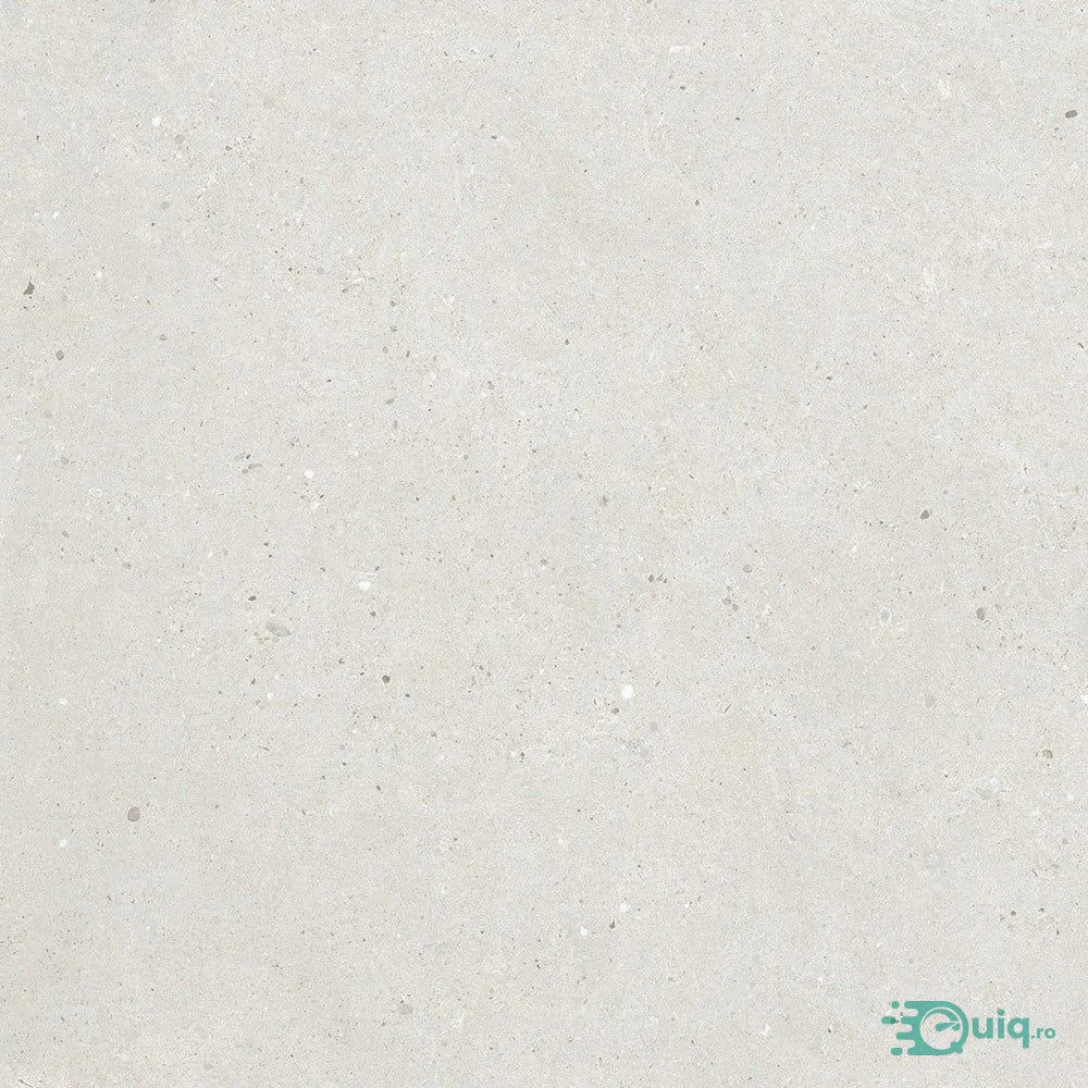Descopera Gresia Poertelanata Silver Grain White Anti-Slip 60x60 — fotografia 4