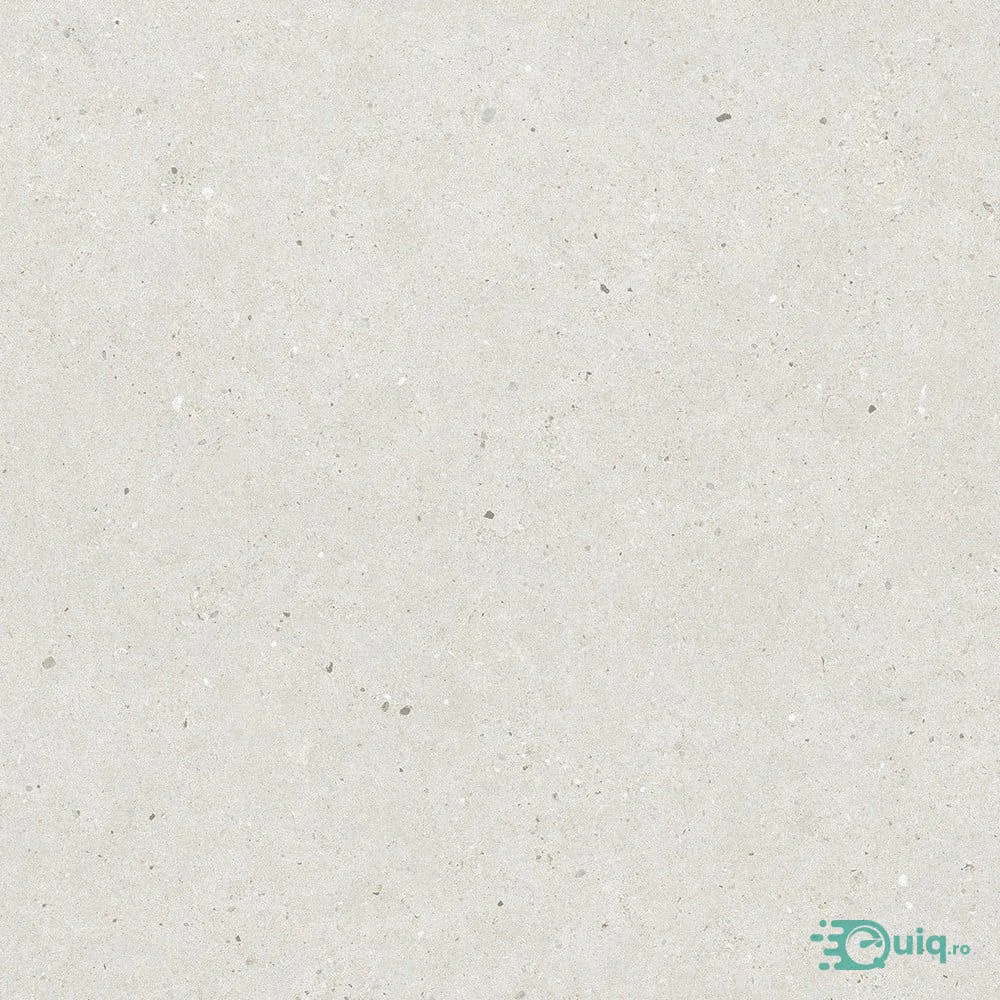 Descopera Gresia Poertelanata Silver Grain White Anti-Slip 60x60 — fotografia 5