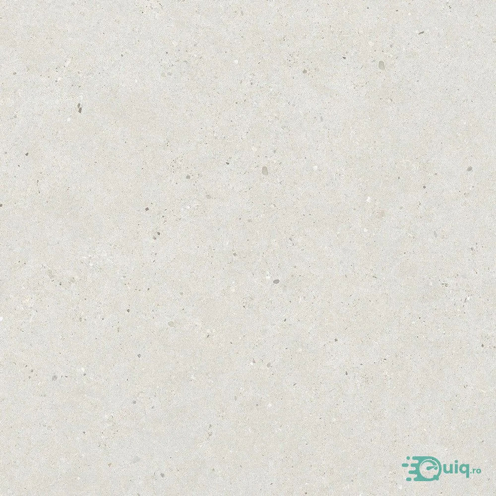 Descopera Gresia Poertelanata Silver Grain White Anti-Slip 60x60 — fotografia 6