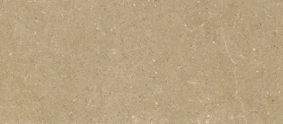 Gresie Wild HWD 201 Amber 60x120x2 cm