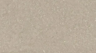 Gresie Wild HWD 211 Oyster 60x120x2 cm