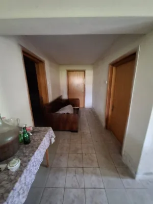 Fotografia 3